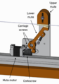 Thumbnail for version as of 01:39, 24 January 2025
